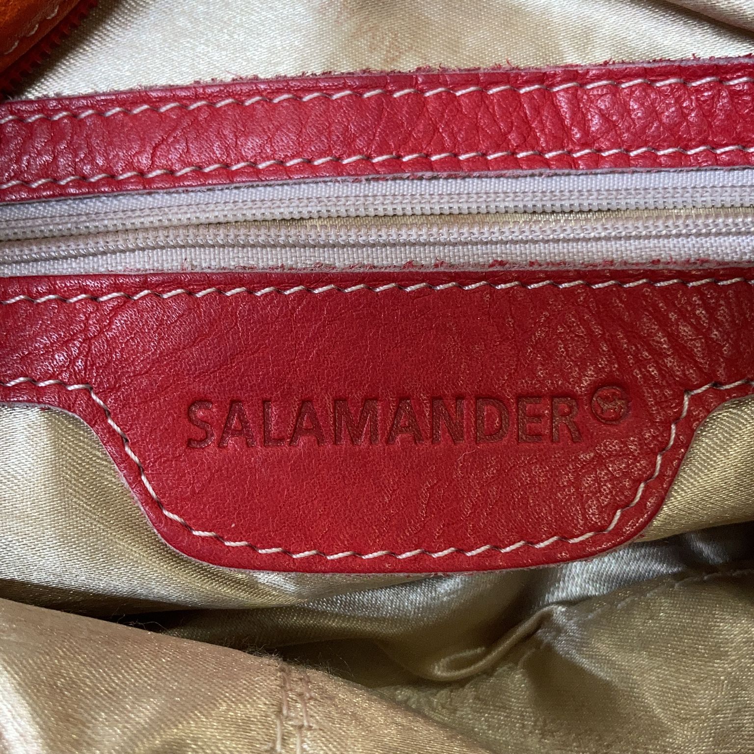 Salamander