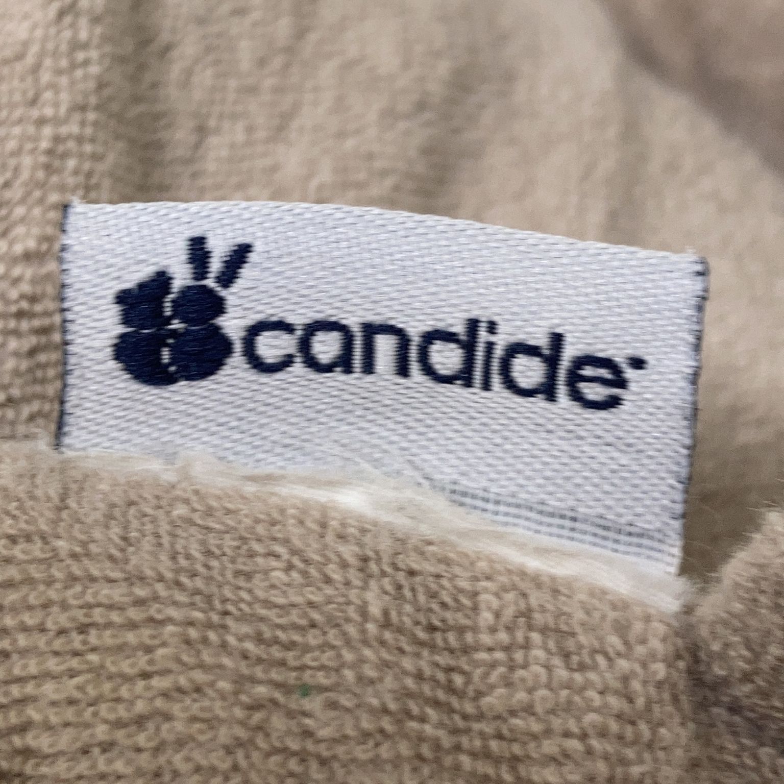 Candide