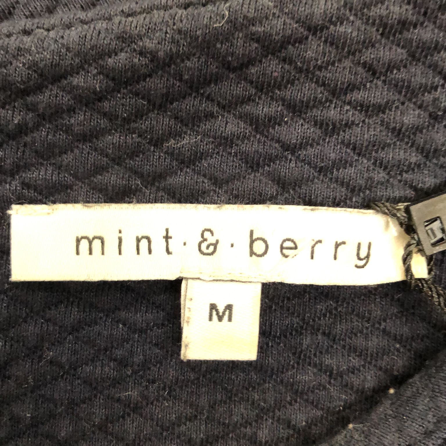 Mint  Berry