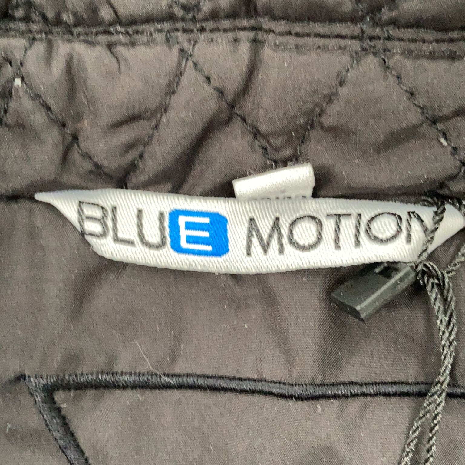 Blue Motion