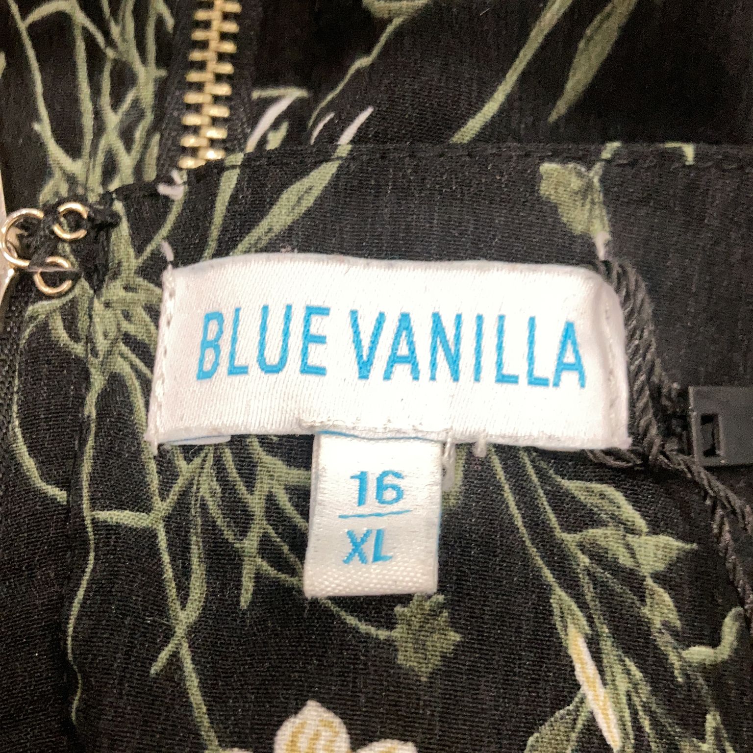 Blue Vanilla