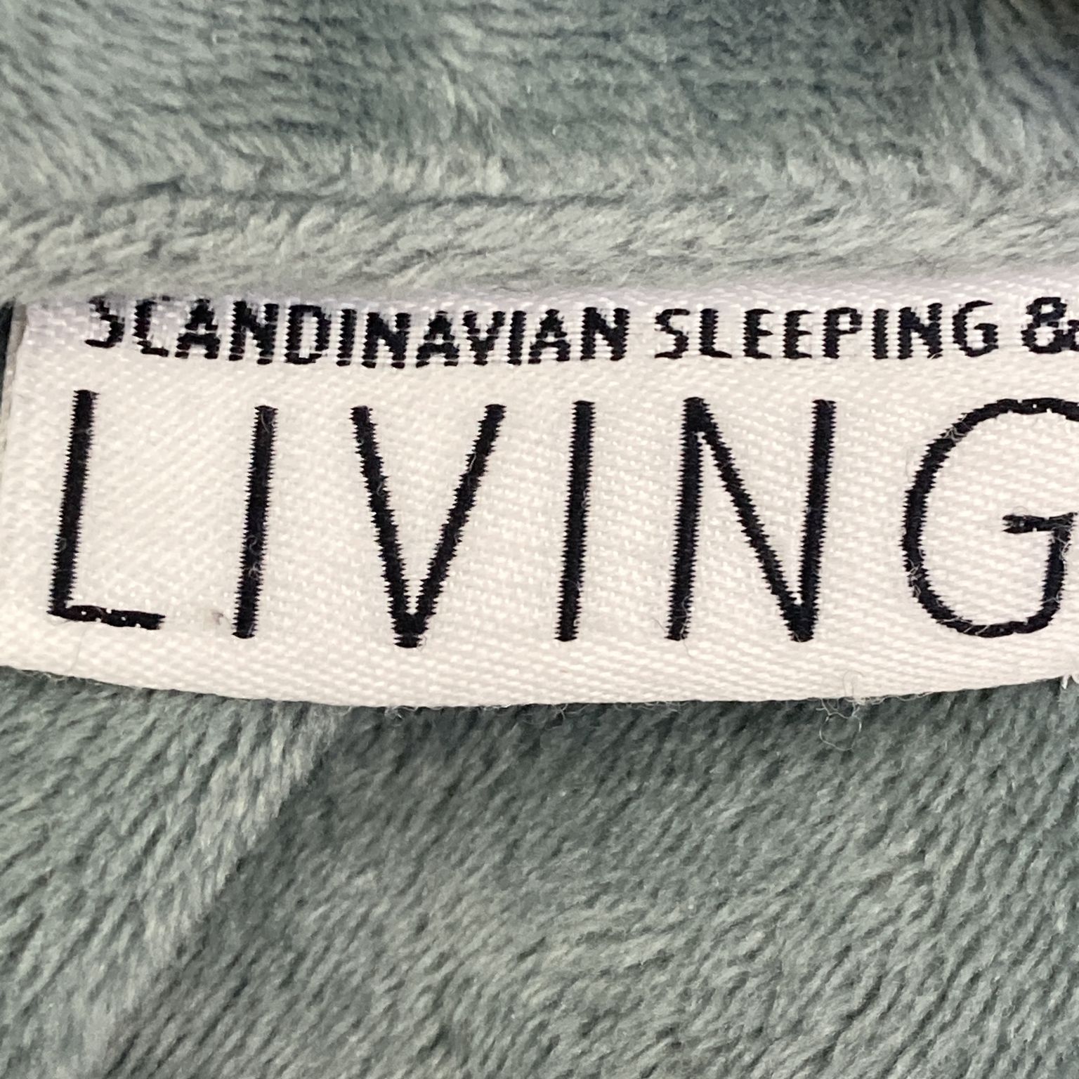 Scandinavian Sleeping  Living