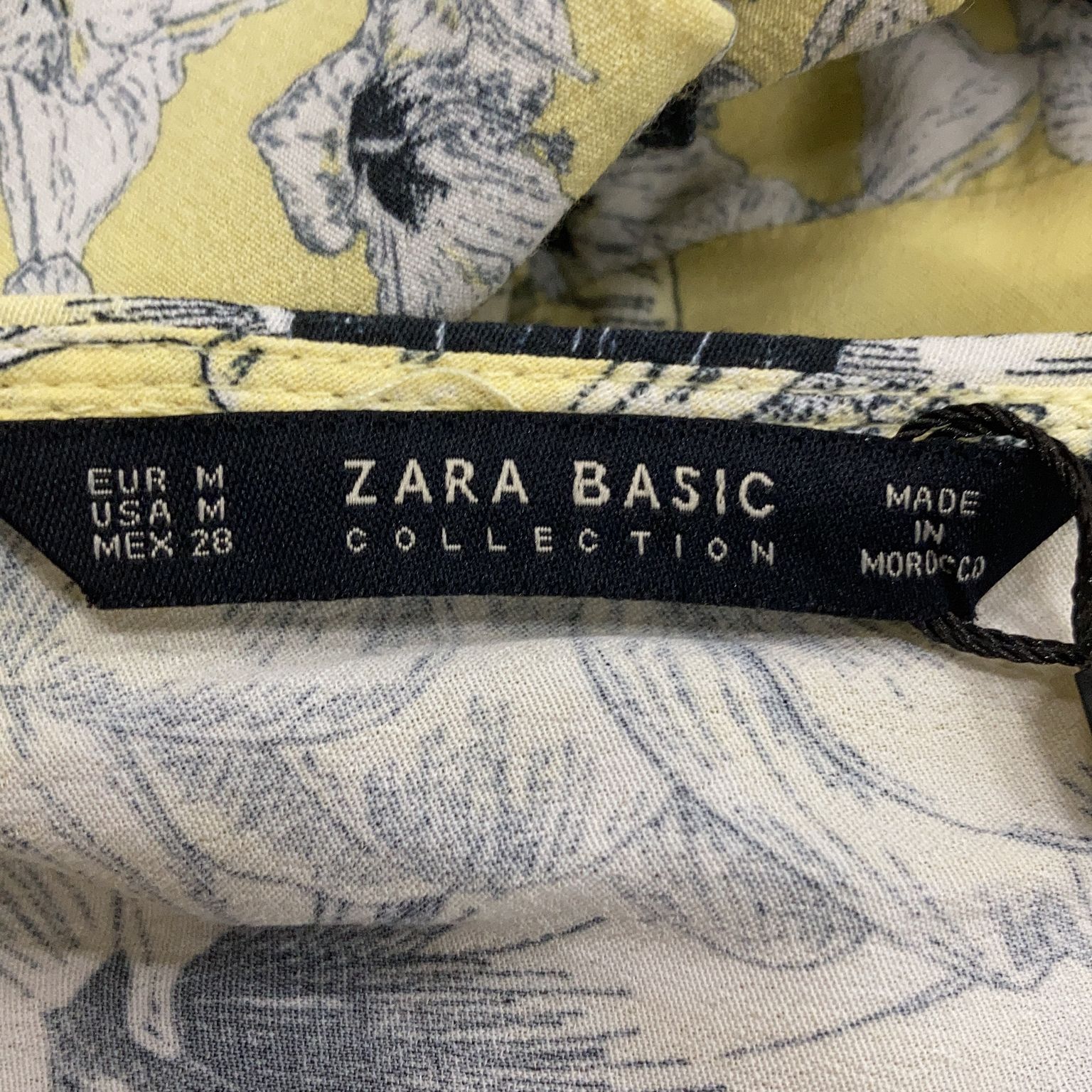 Zara Basic