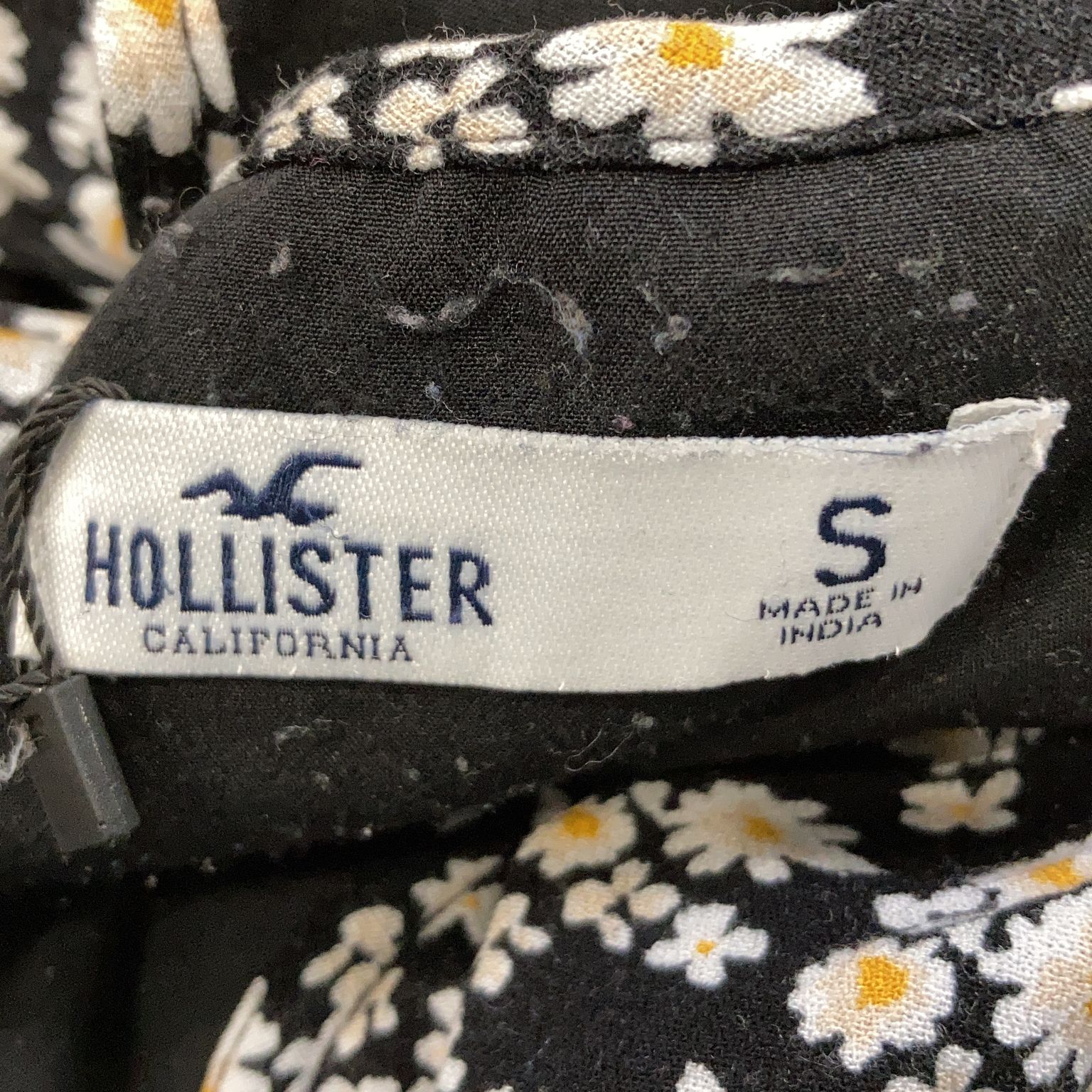 Hollister California