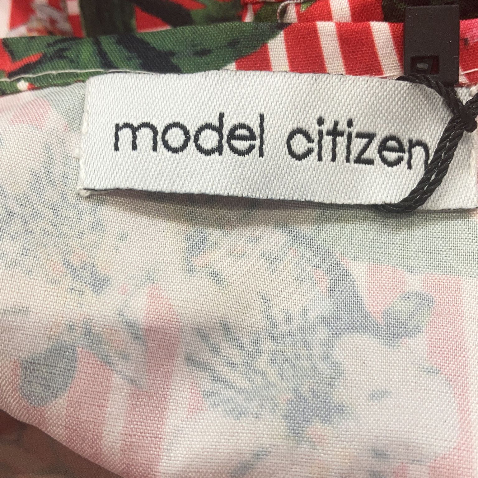 Model Citizen