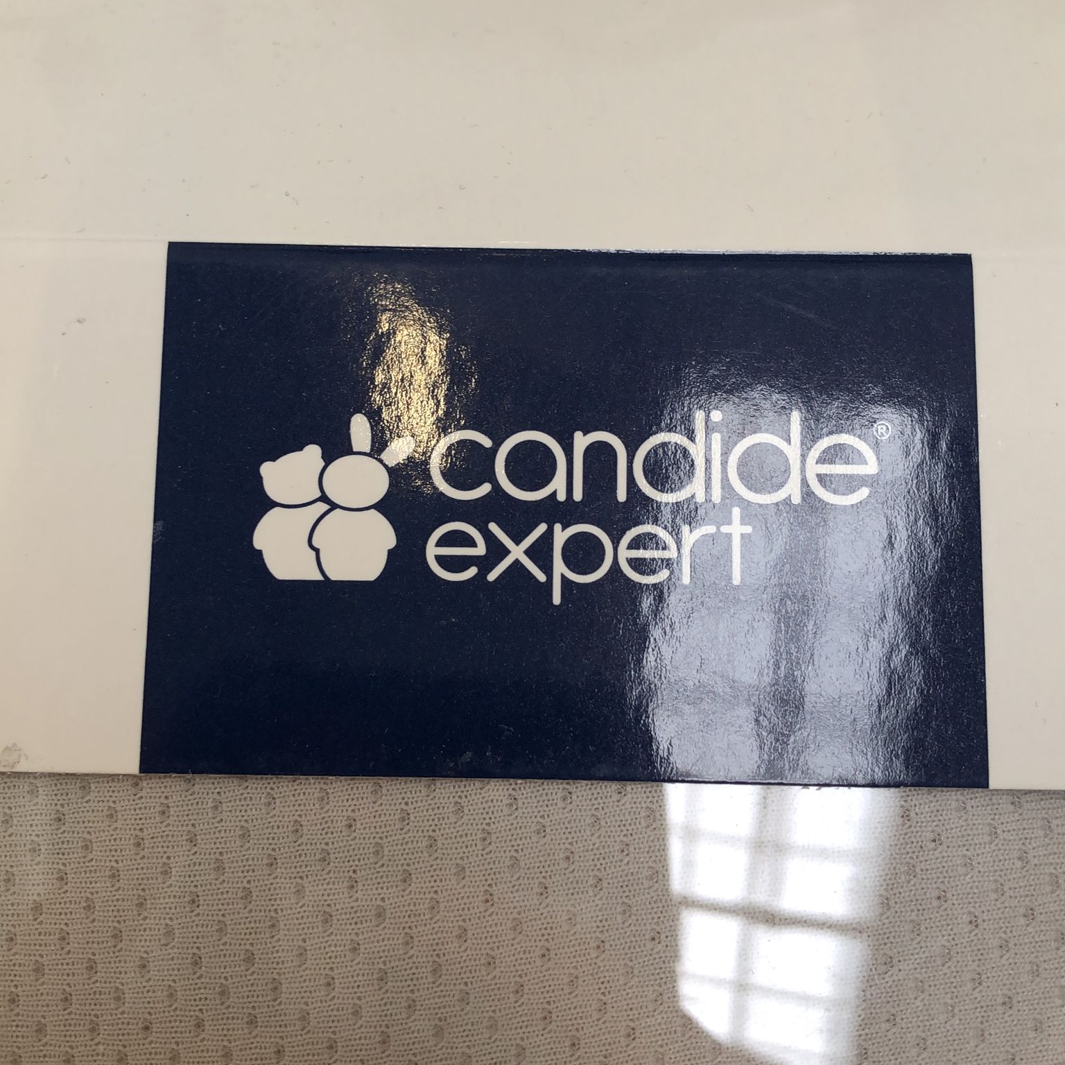 Candide Expert