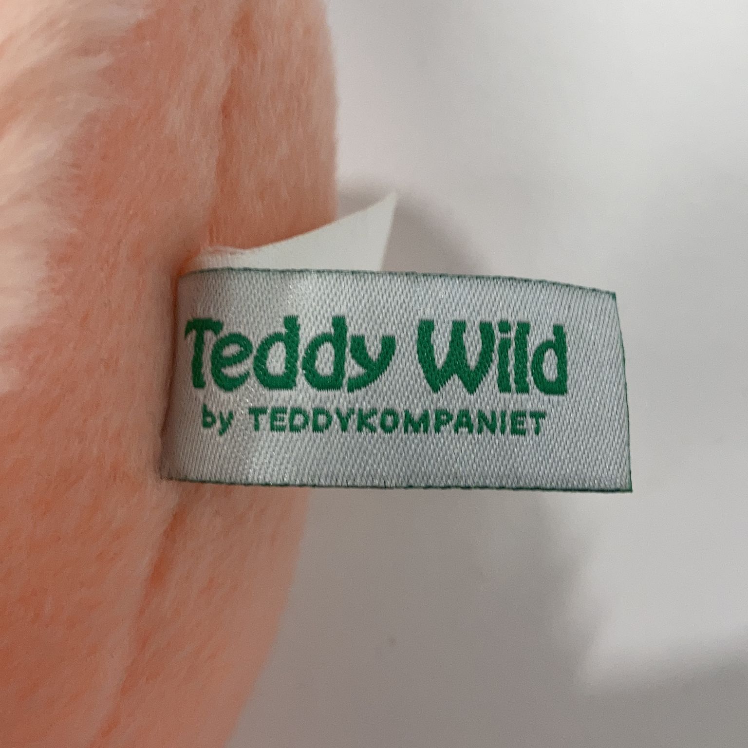 Teddy Wild