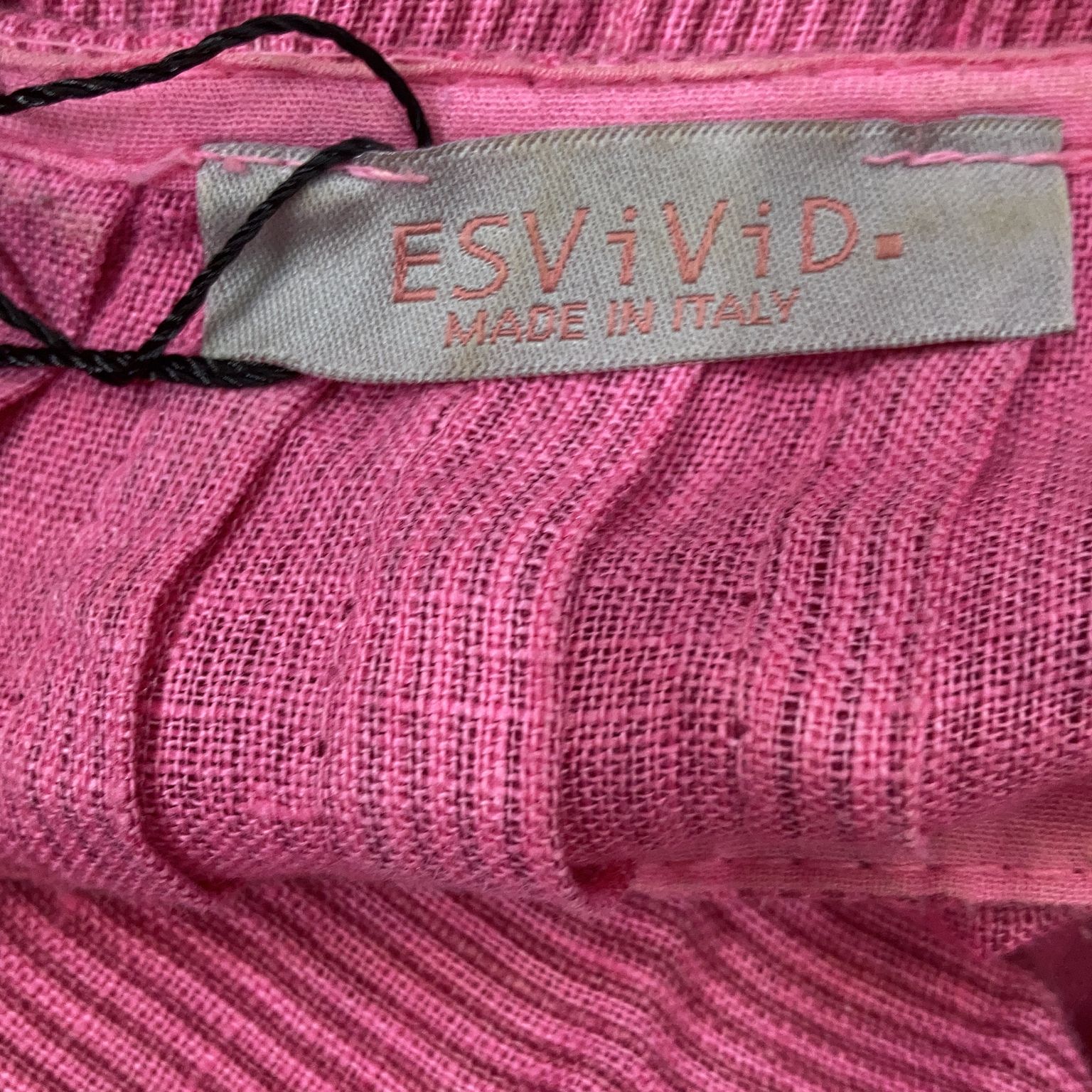 ESViViD