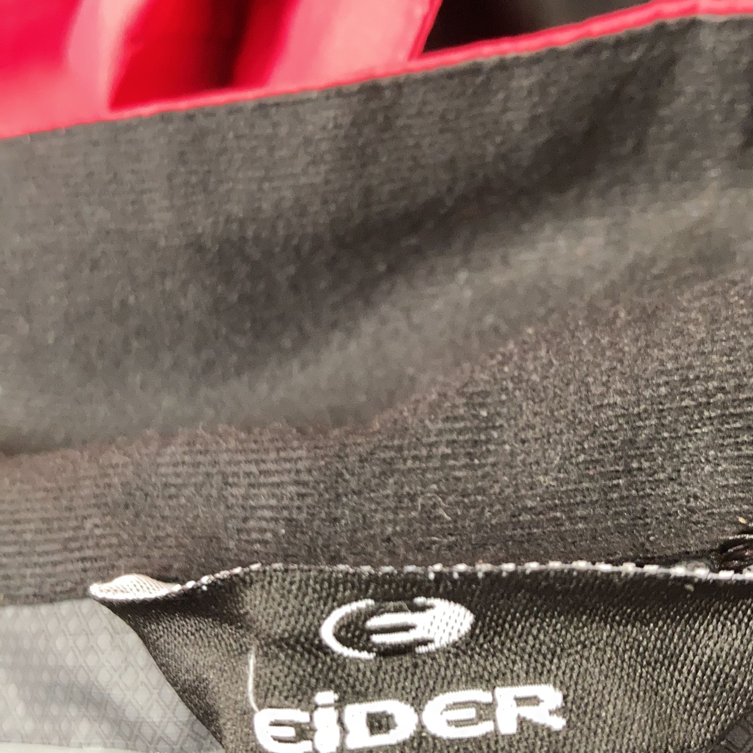 Eider