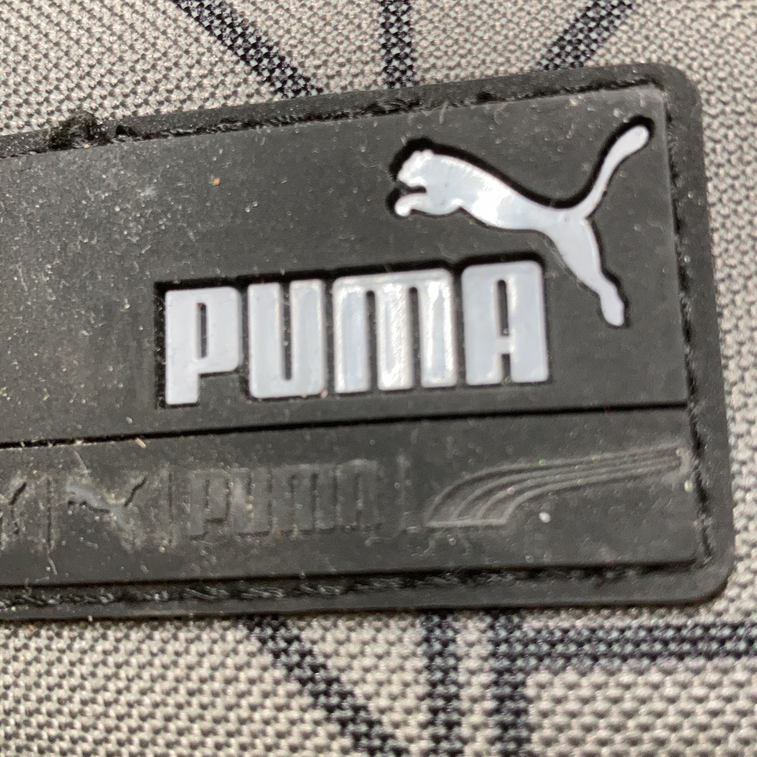 Puma