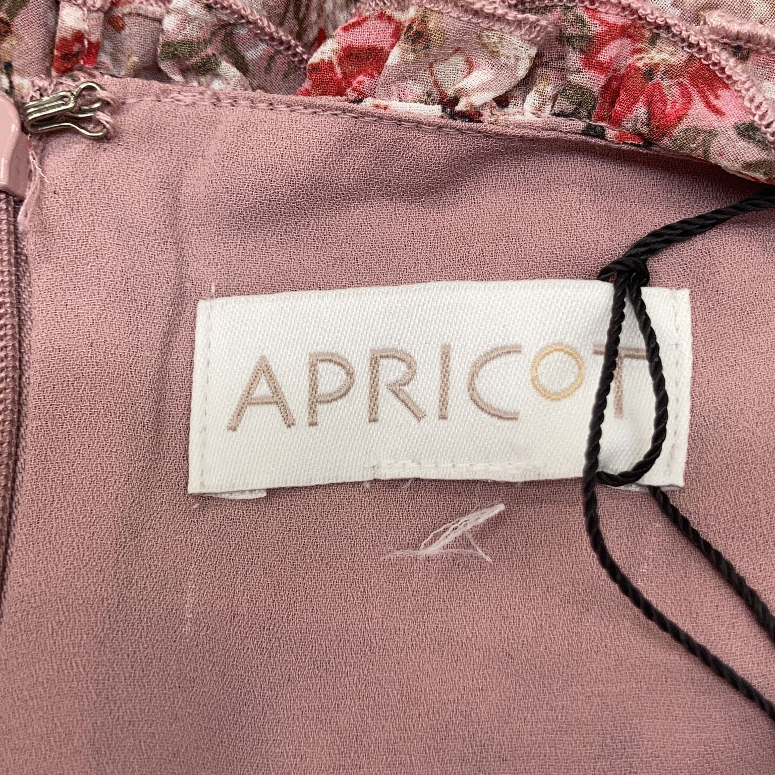 Apricot