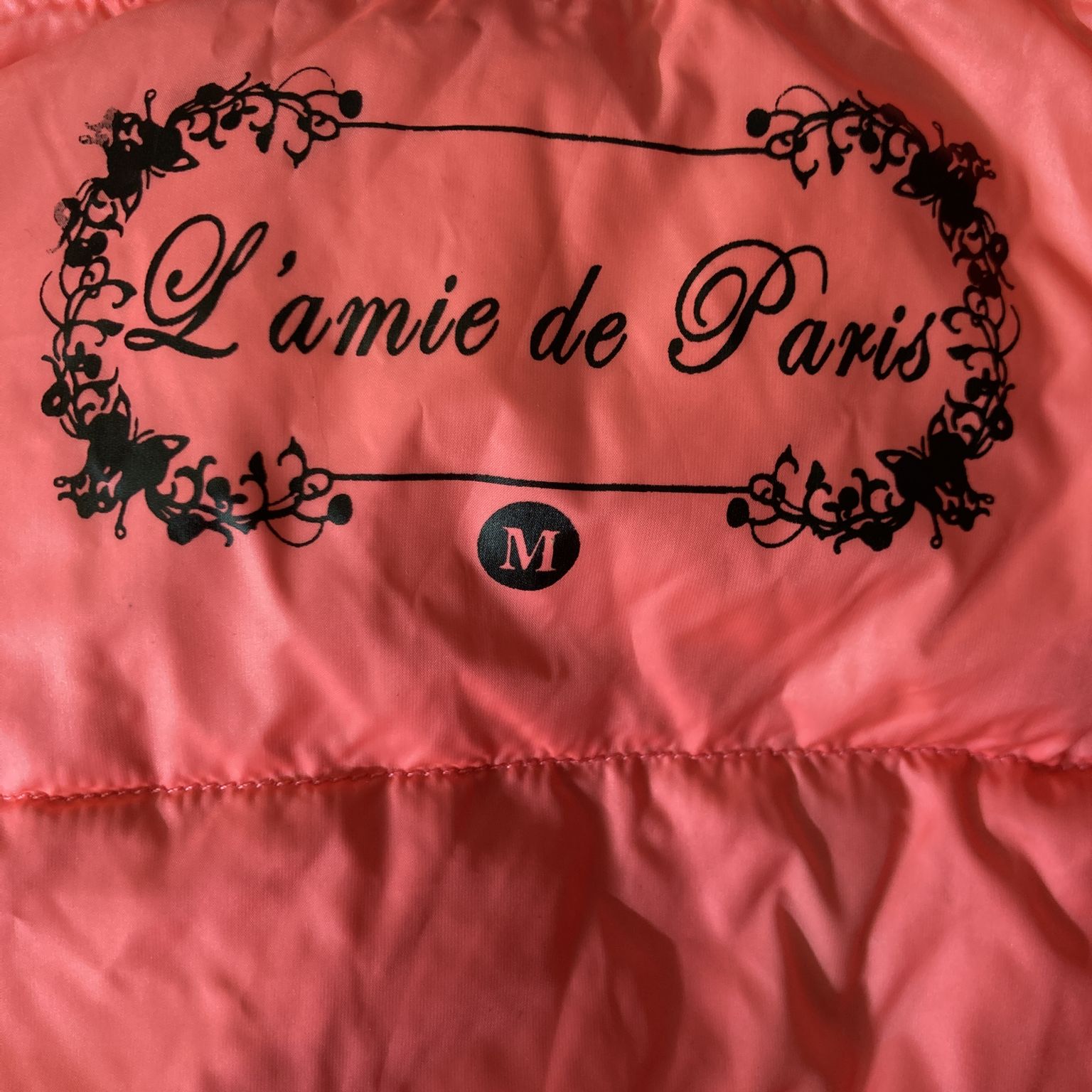 Lamie de Paris