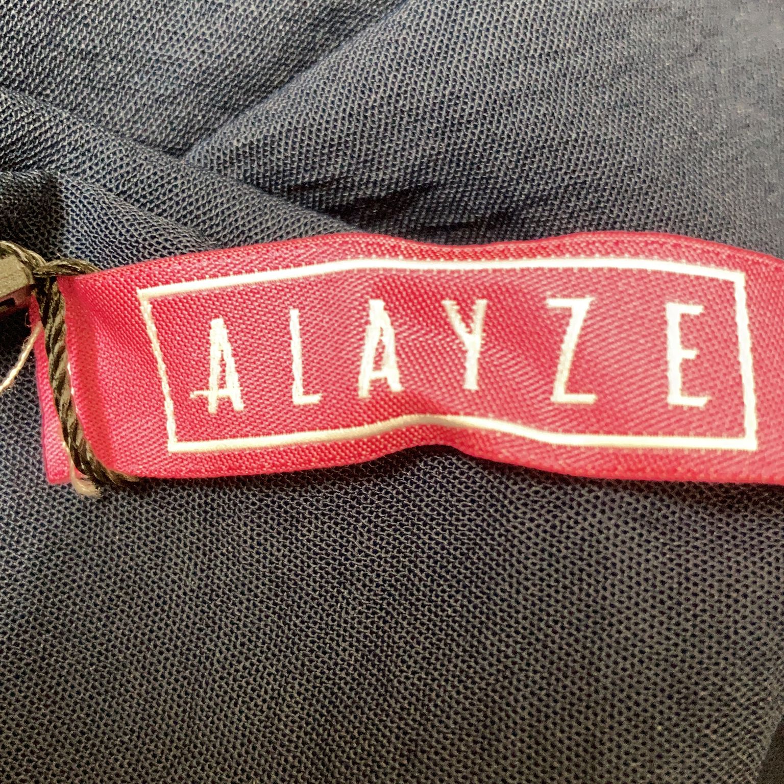 Alayze