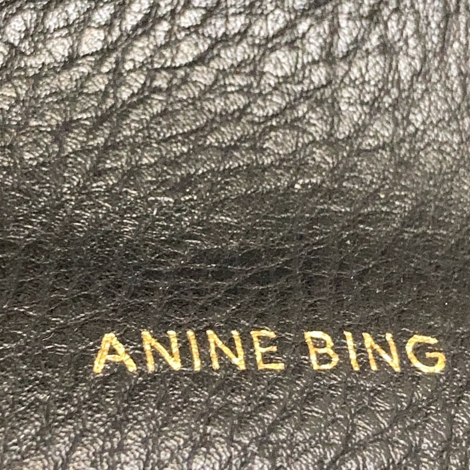 Anine Bing