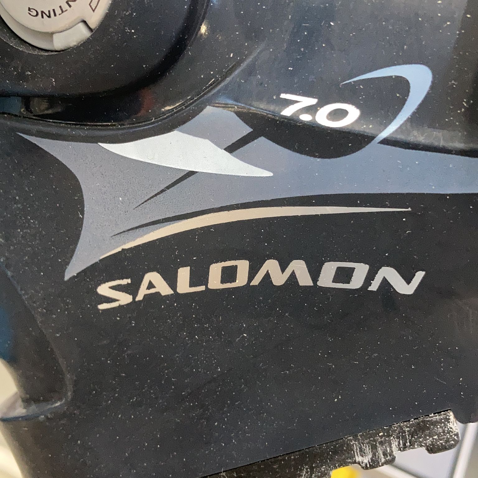 Salomon