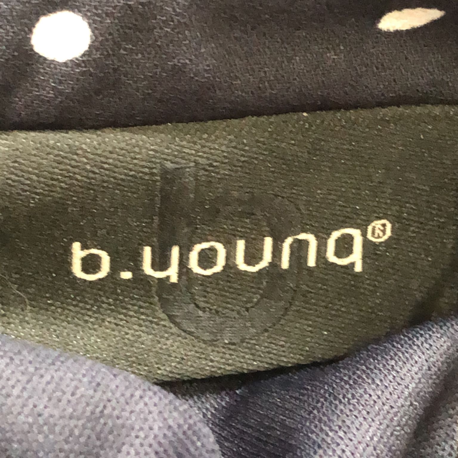 B.Young