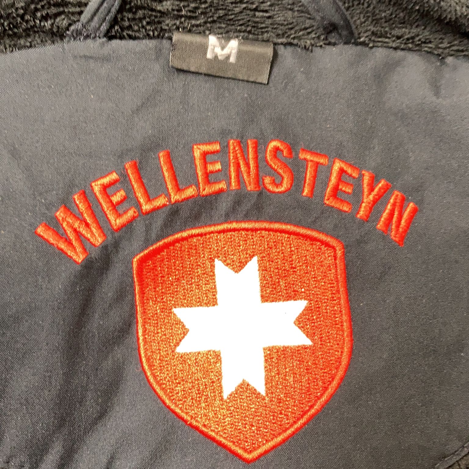 Wellensteyn