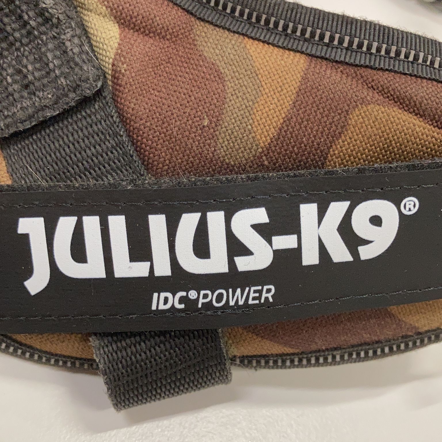 Julius K9