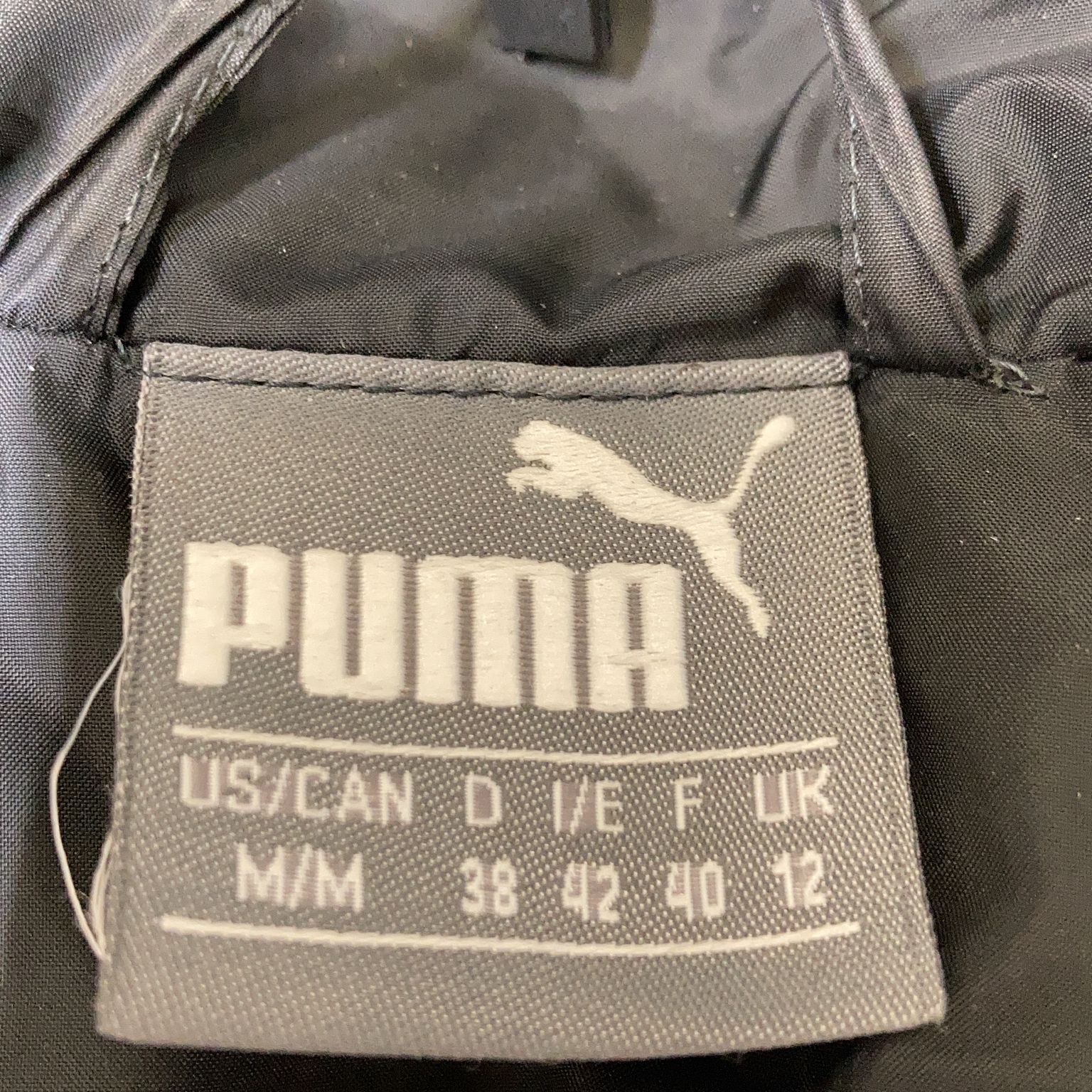 Puma