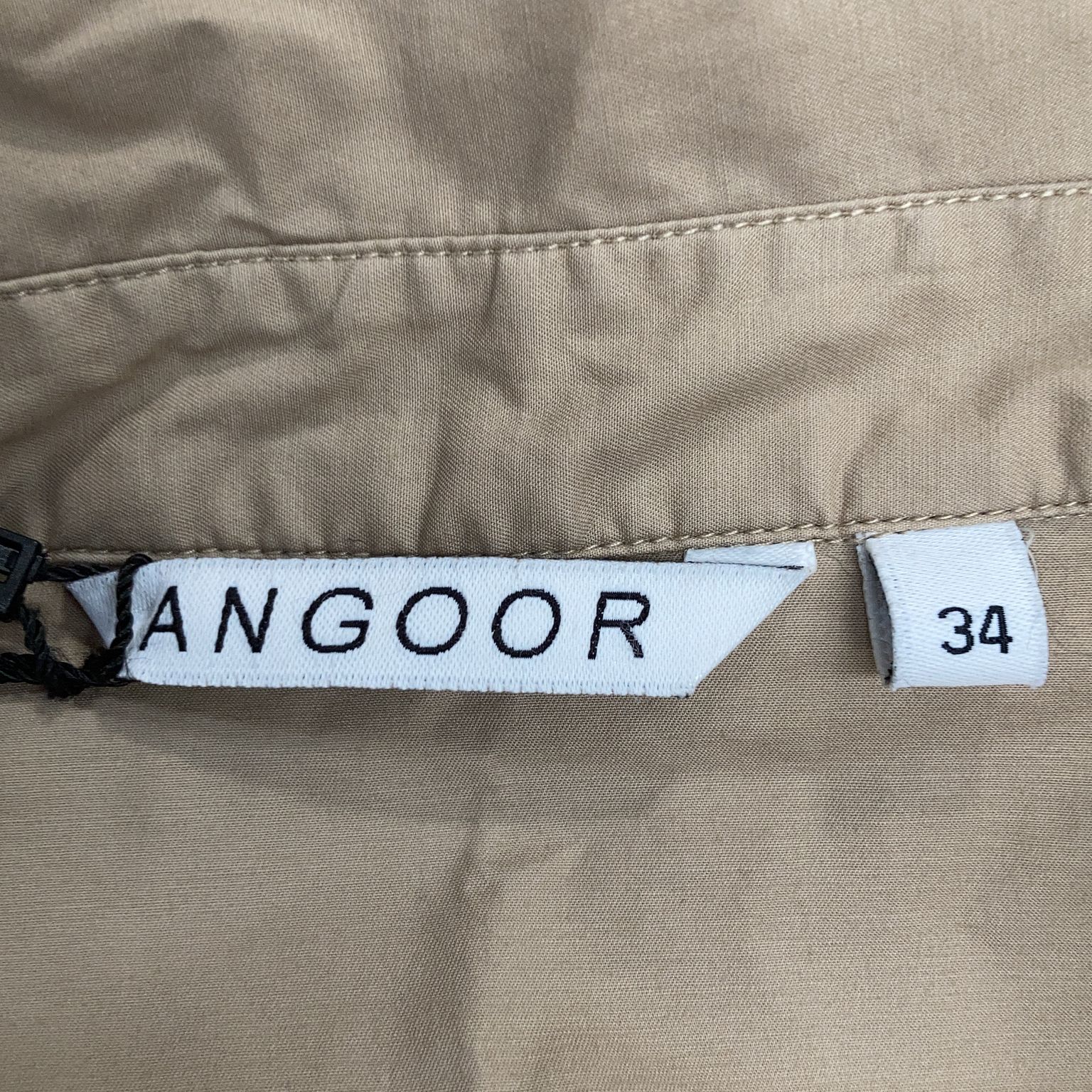 Angoor