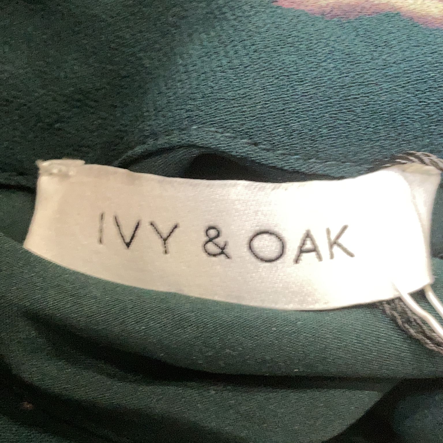 Ivy  Oak