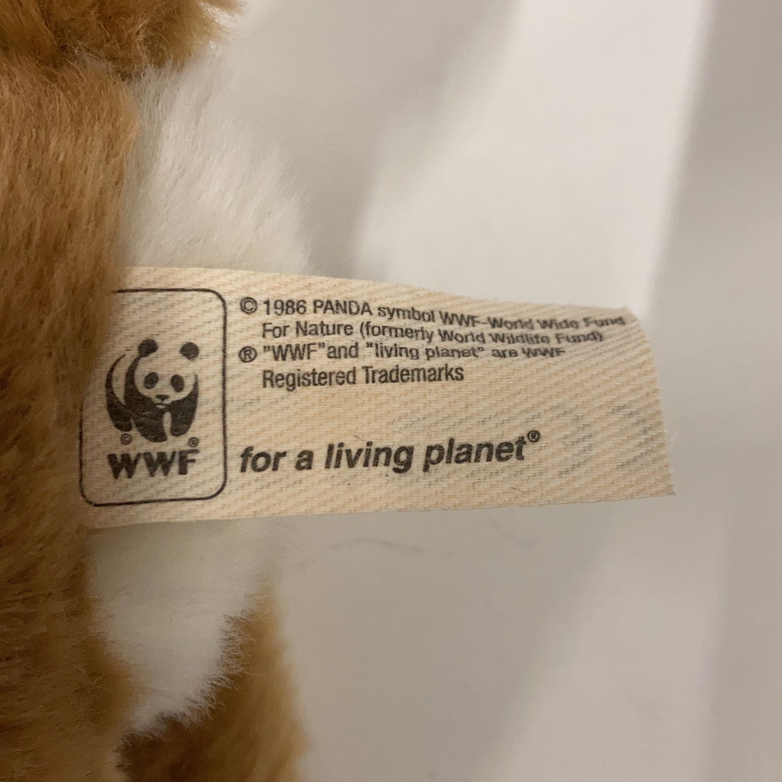 WWF