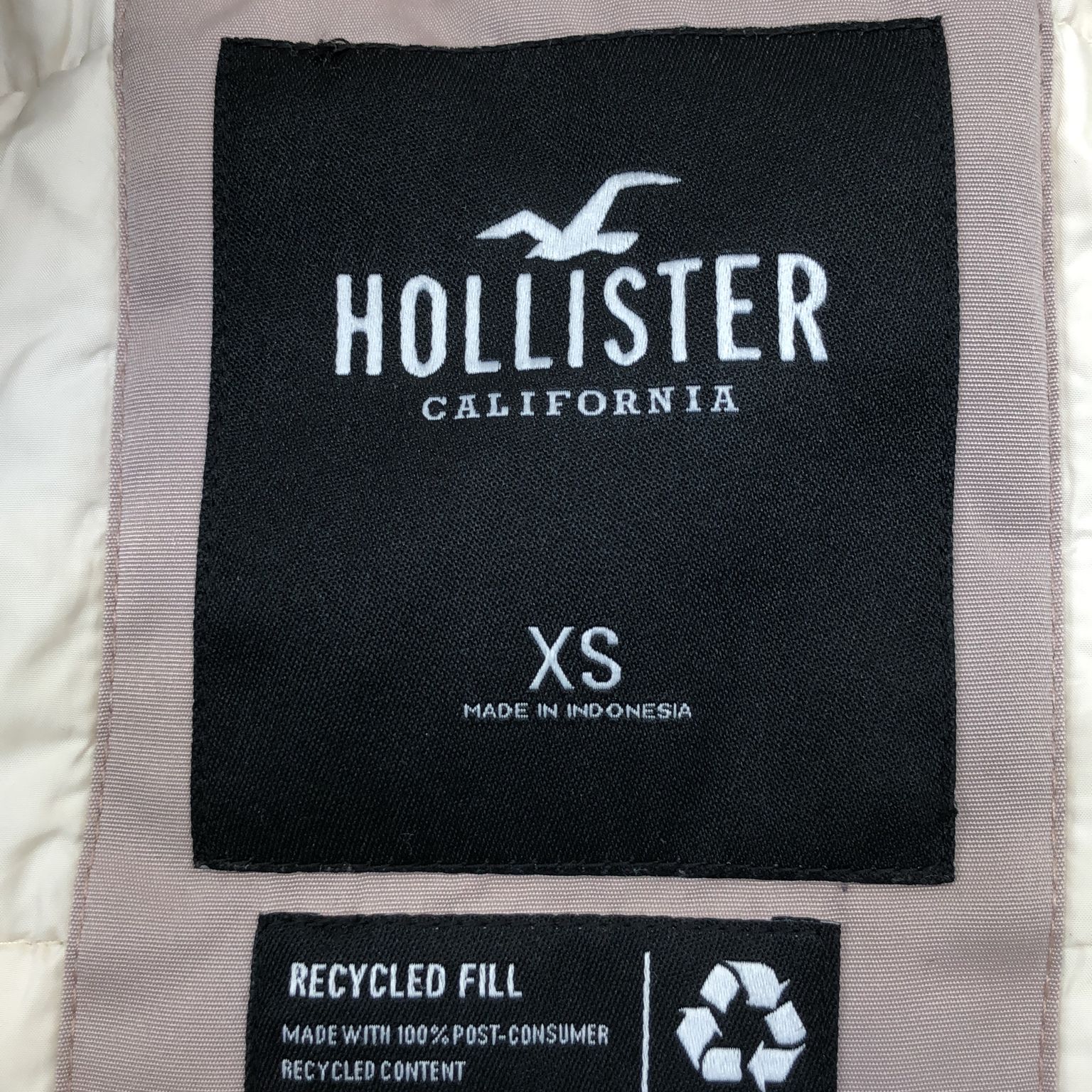 Hollister