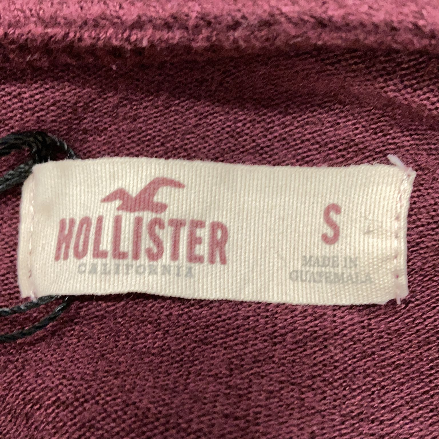 Hollister