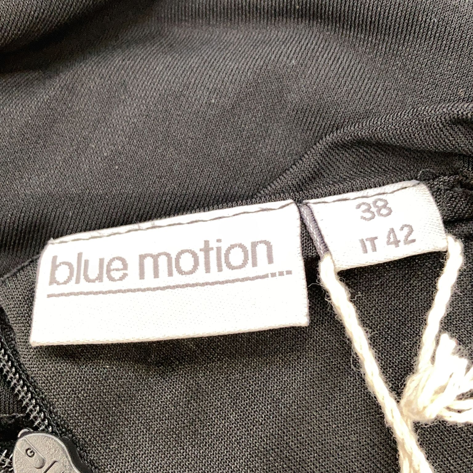 Blue Motion