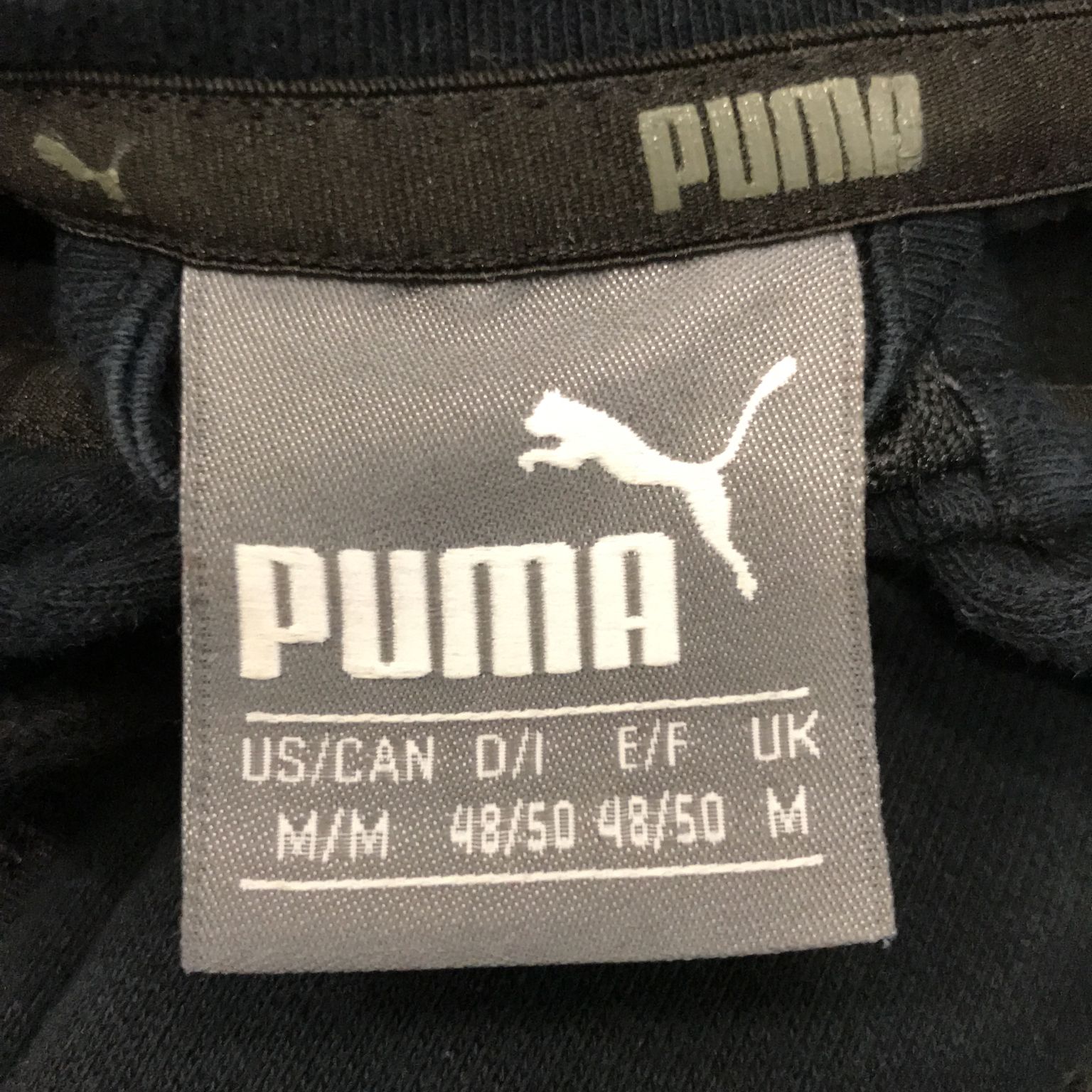 Puma