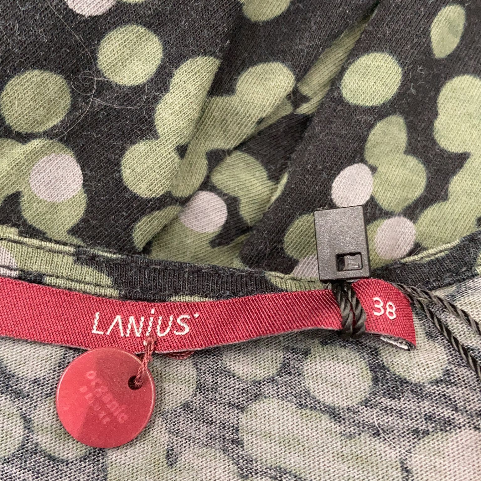 Lanius