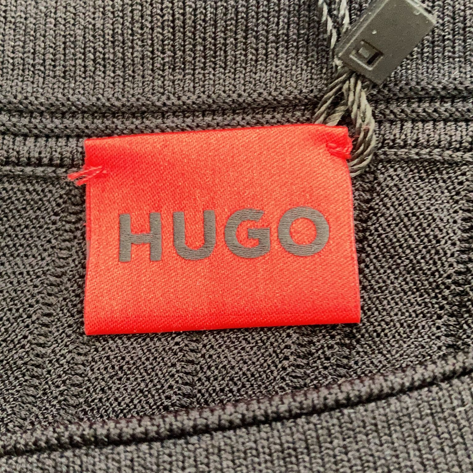 Hugo