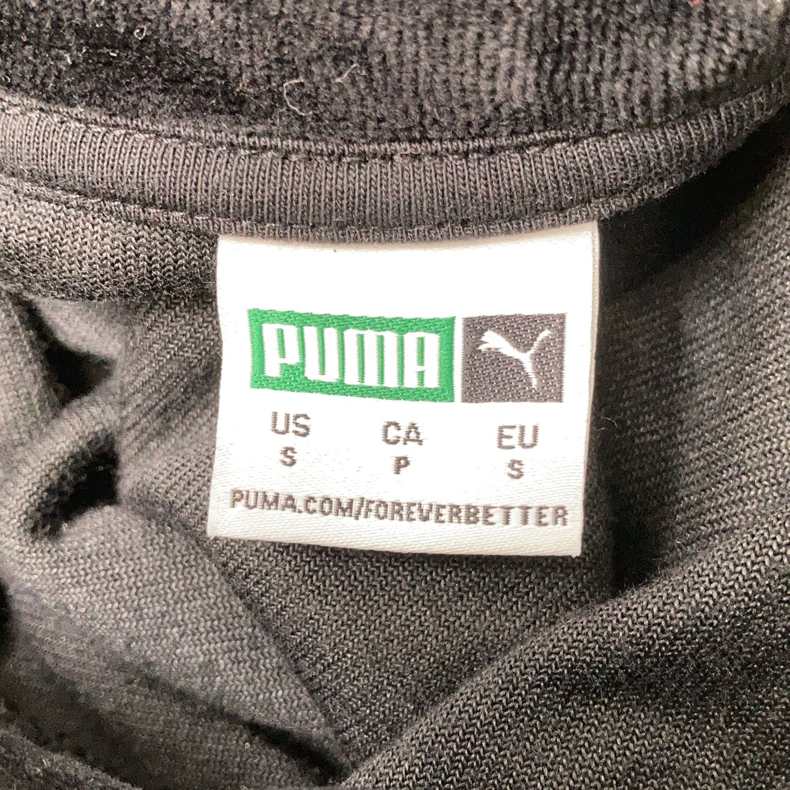 Puma