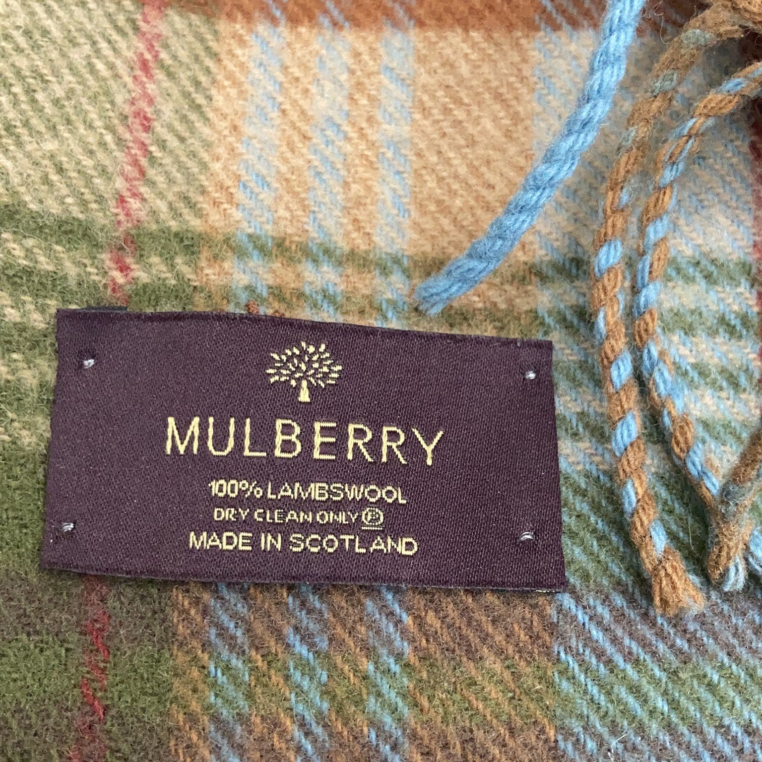 Mulberry