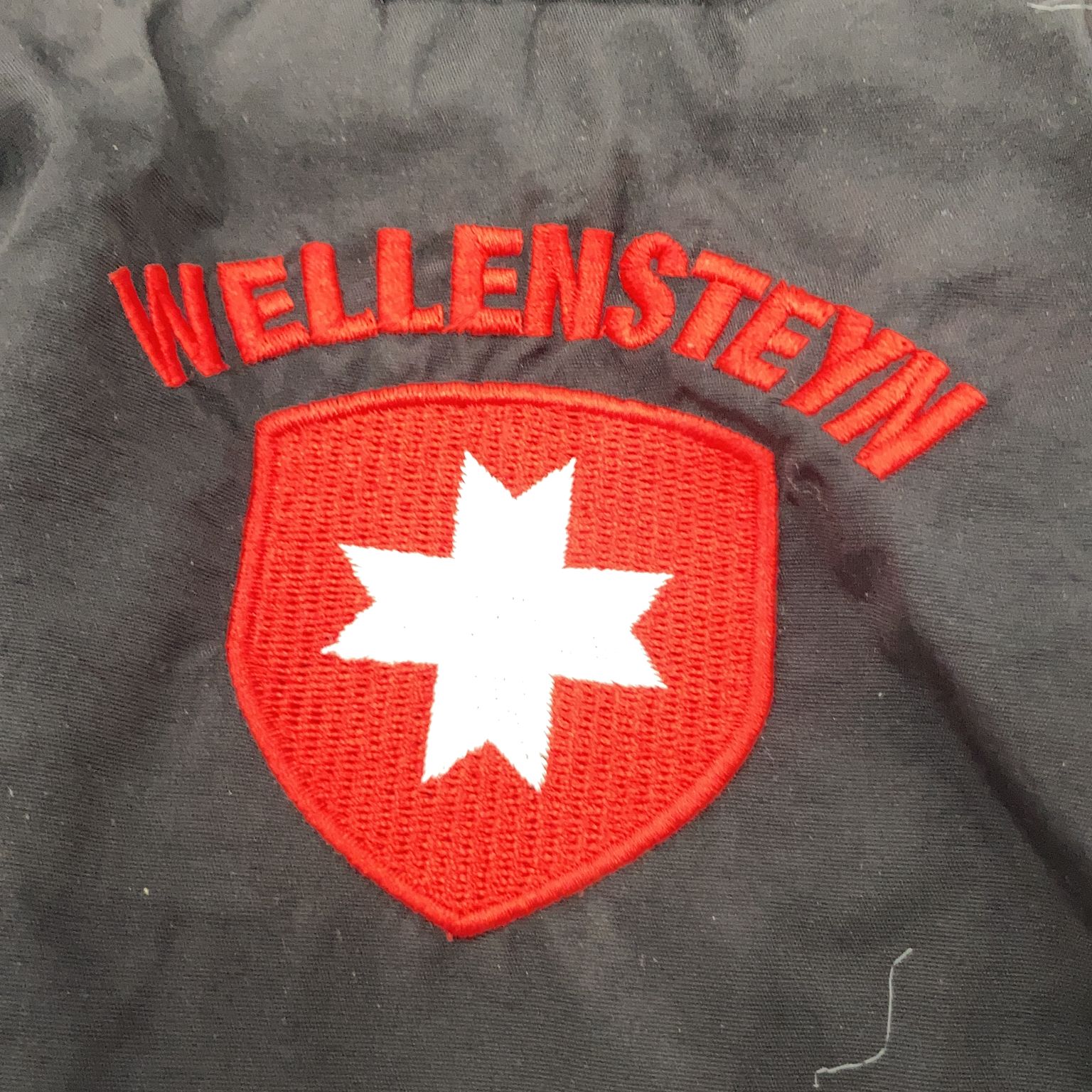 Wellensteyn