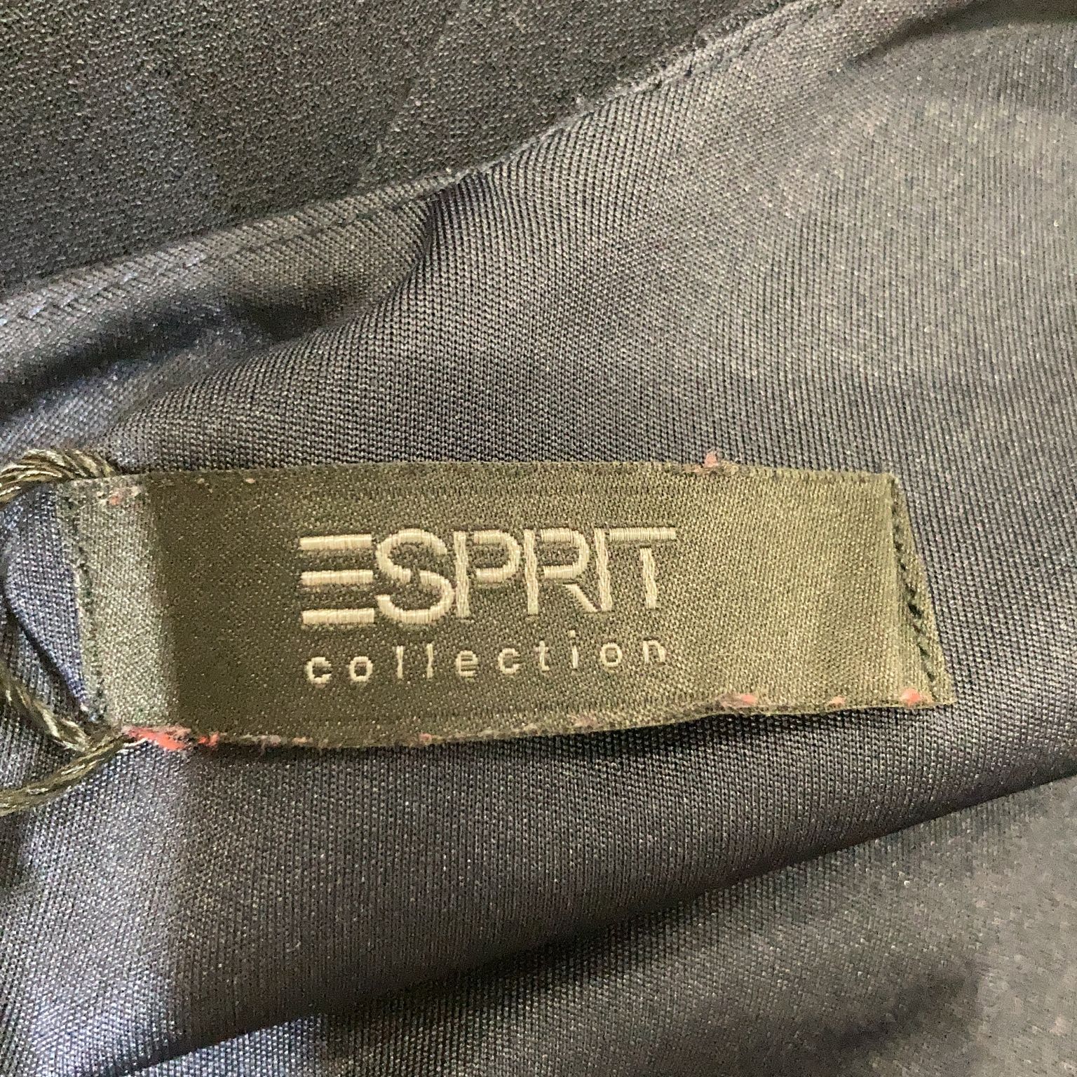 ESPRIT Collection