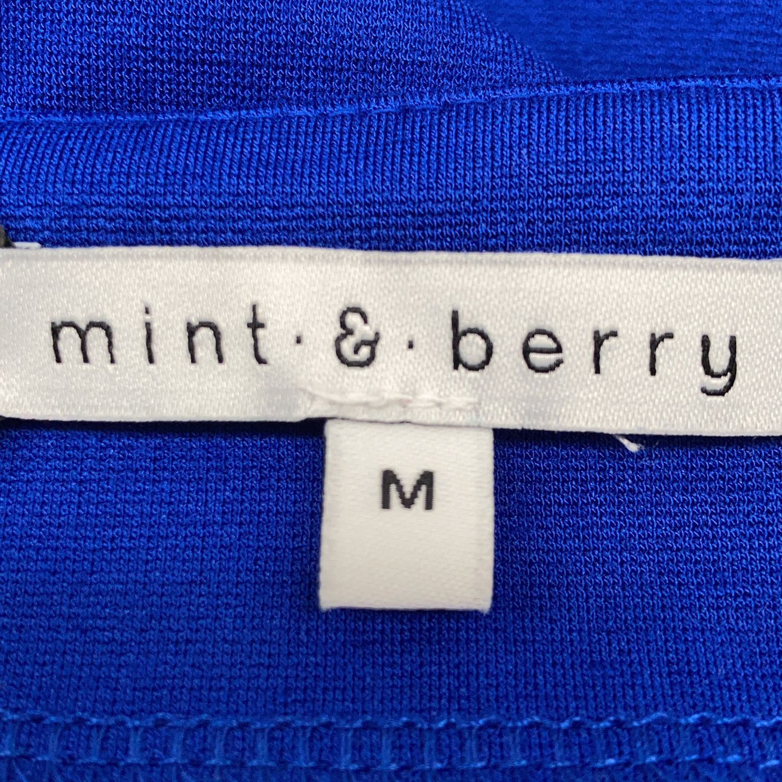 Mint  Berry