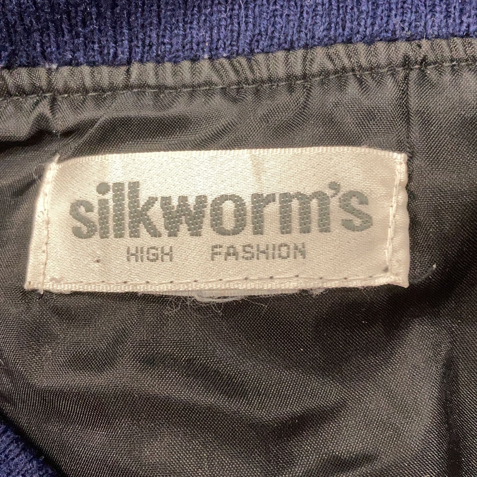 Silkworm's