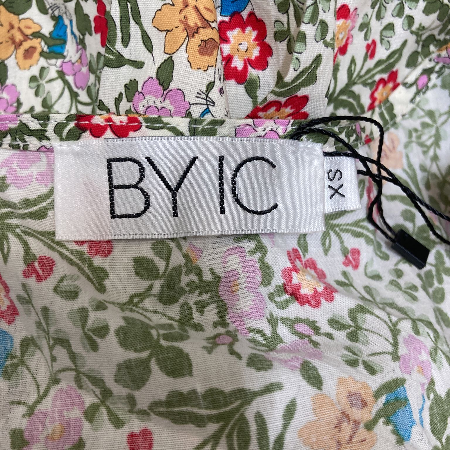 BYIC