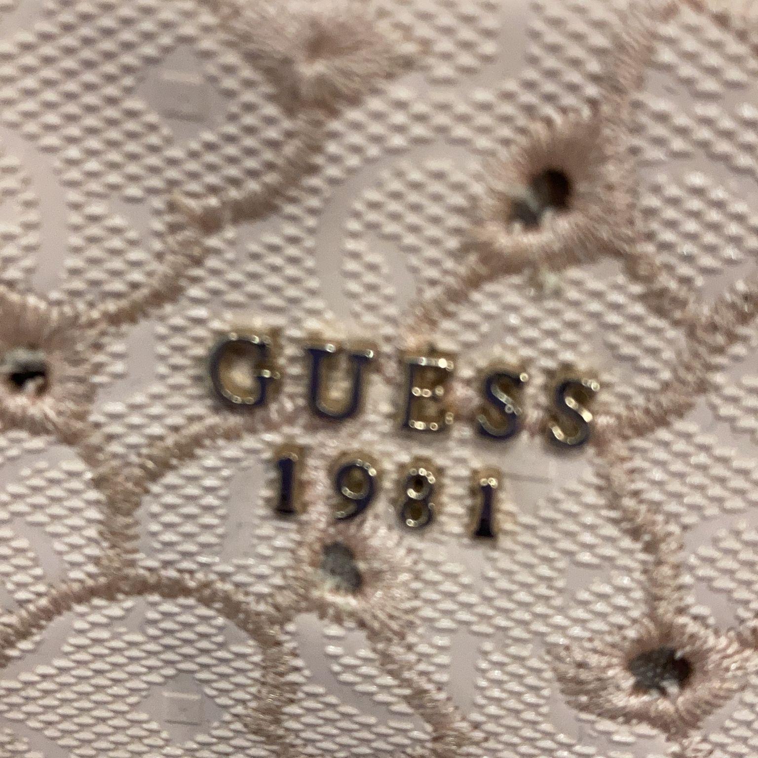 Guess