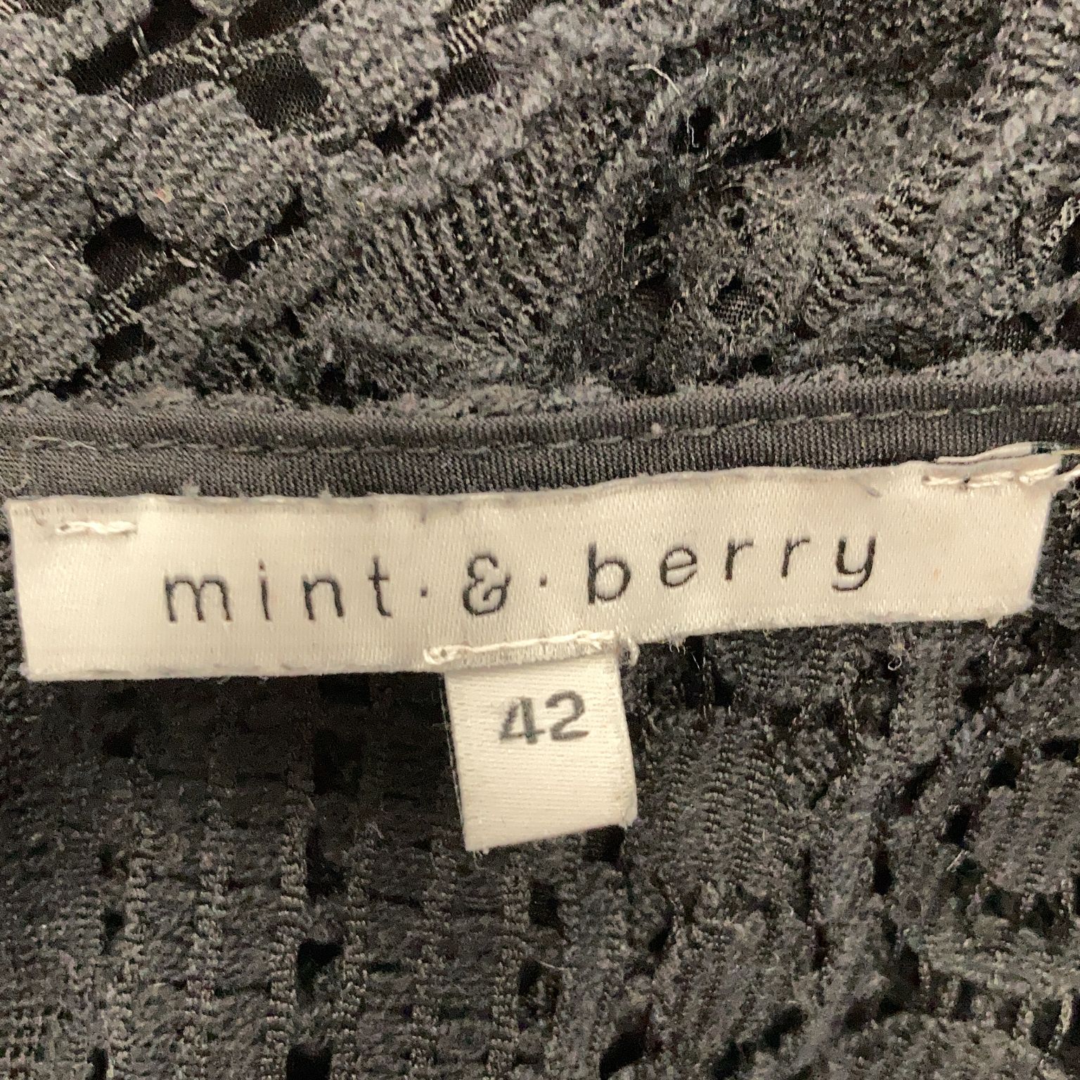 Mint  Berry