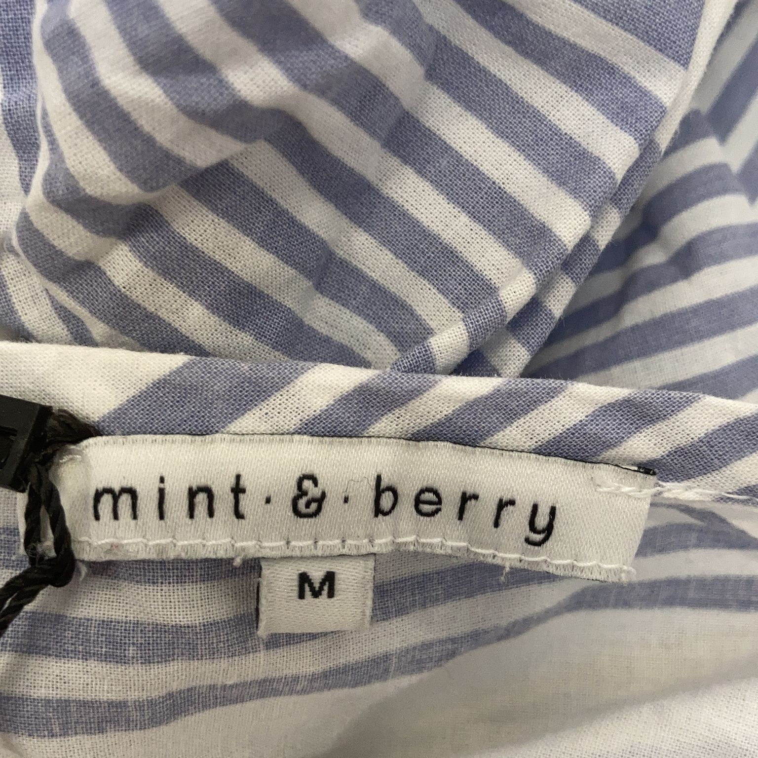 Mint  Berry