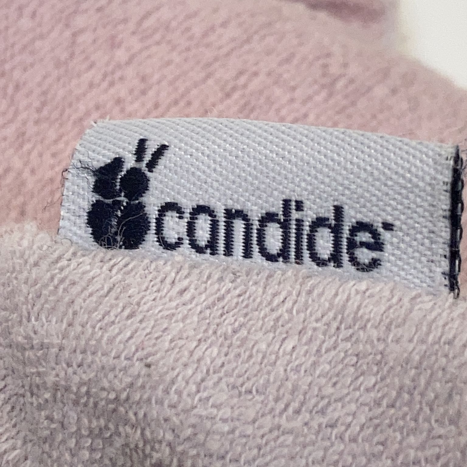 Candide