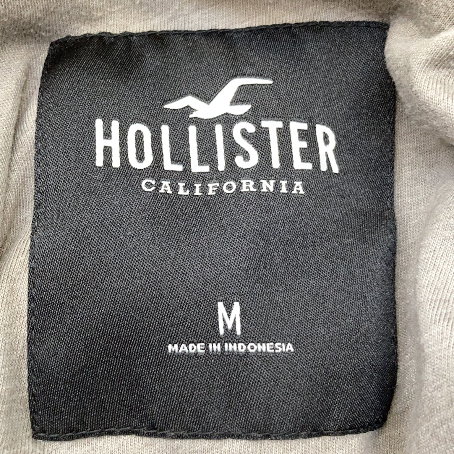 Hollister