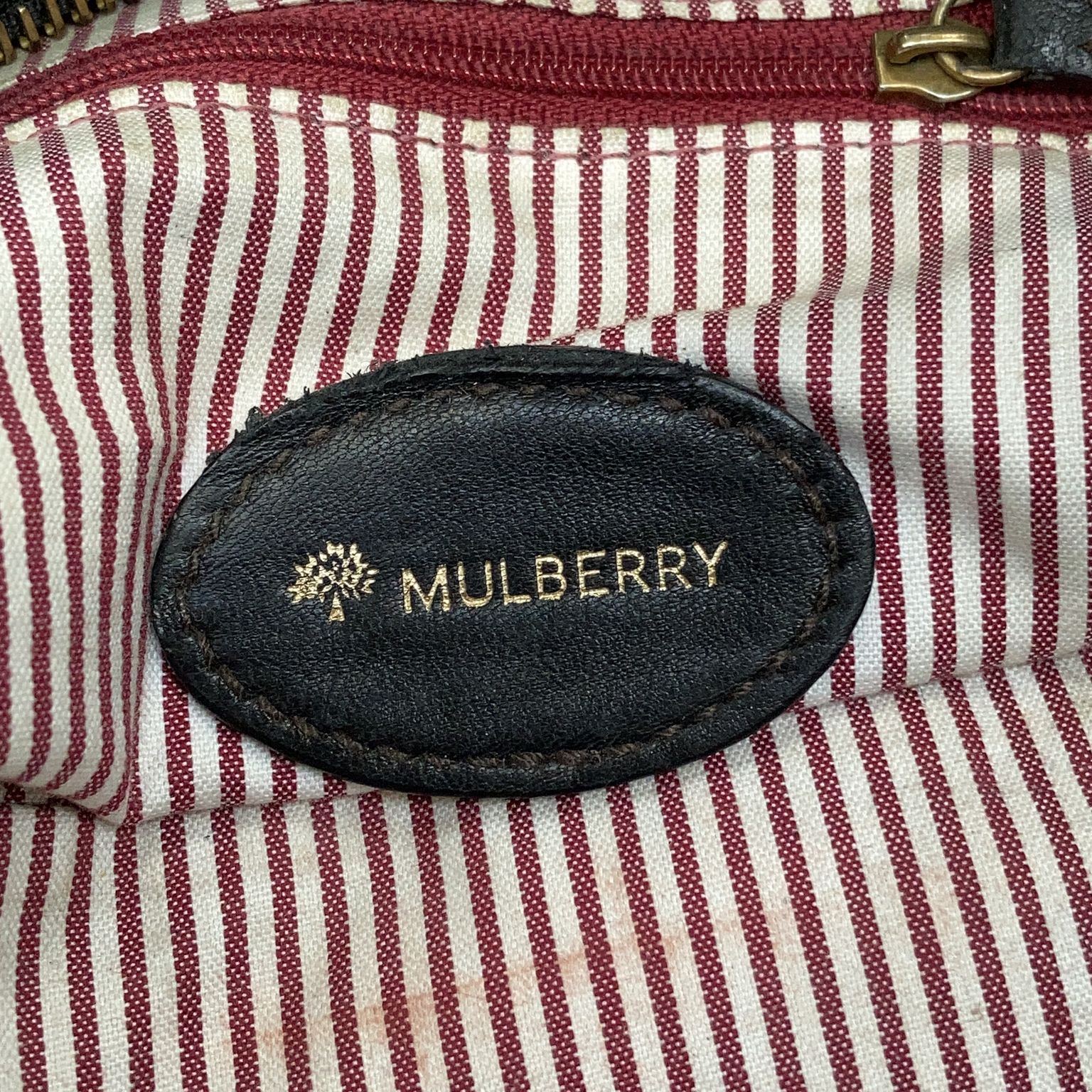 Mulberry