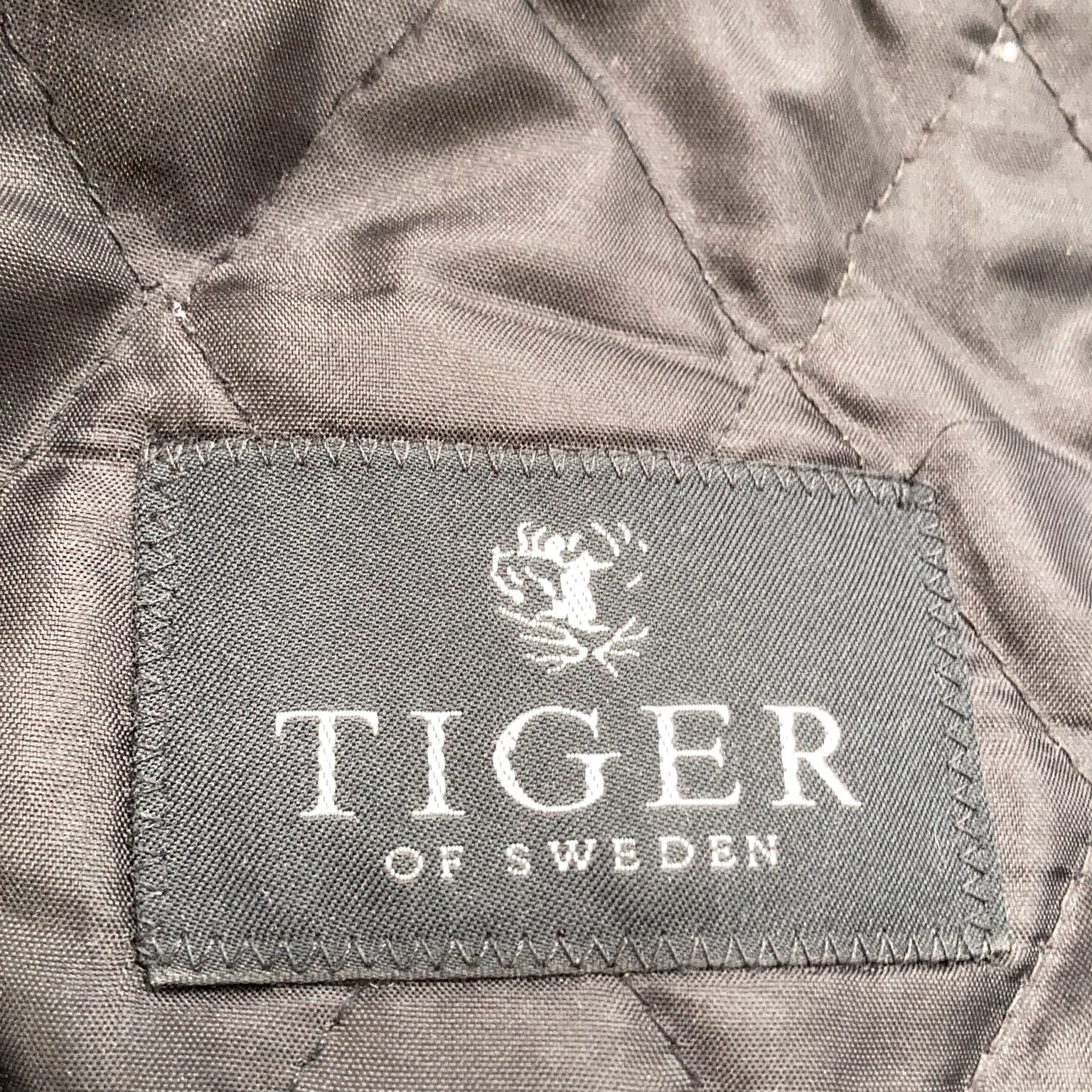 Tiger of Sweden