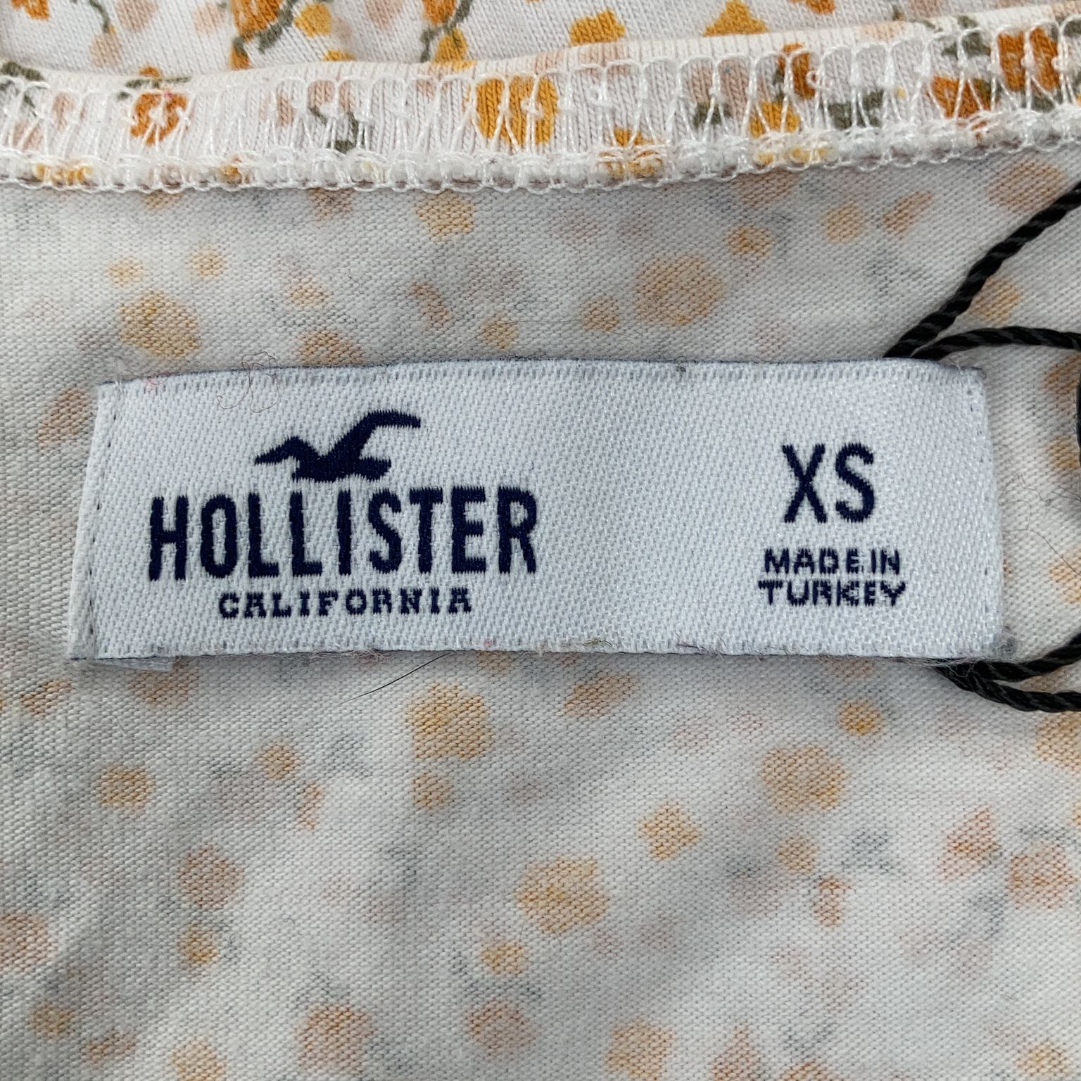 Hollister