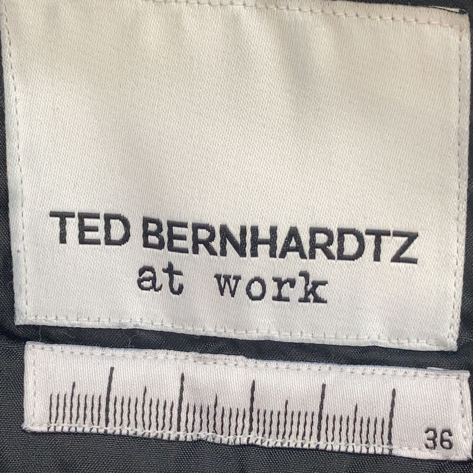 Ted Bernhardtz