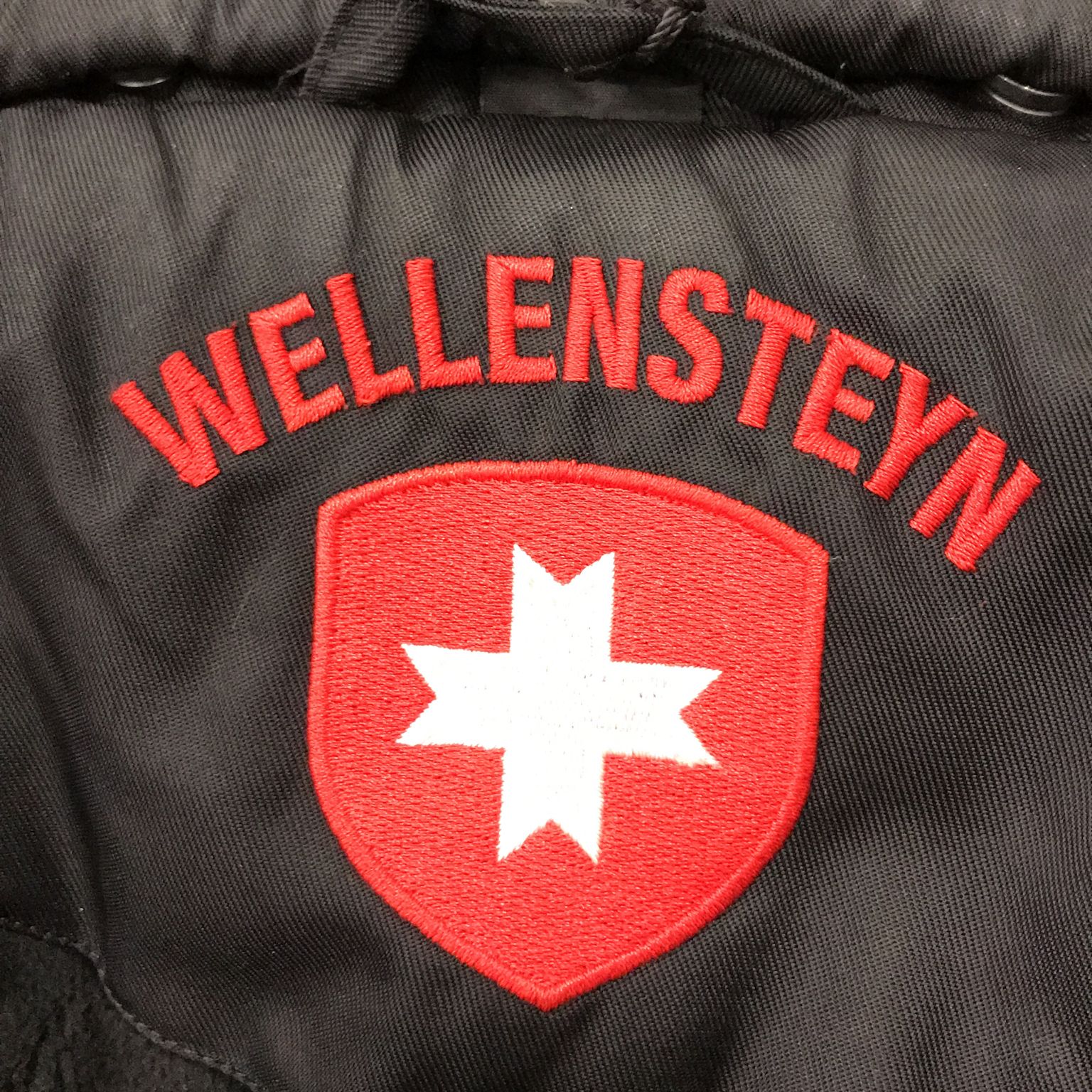 Wellensteyn