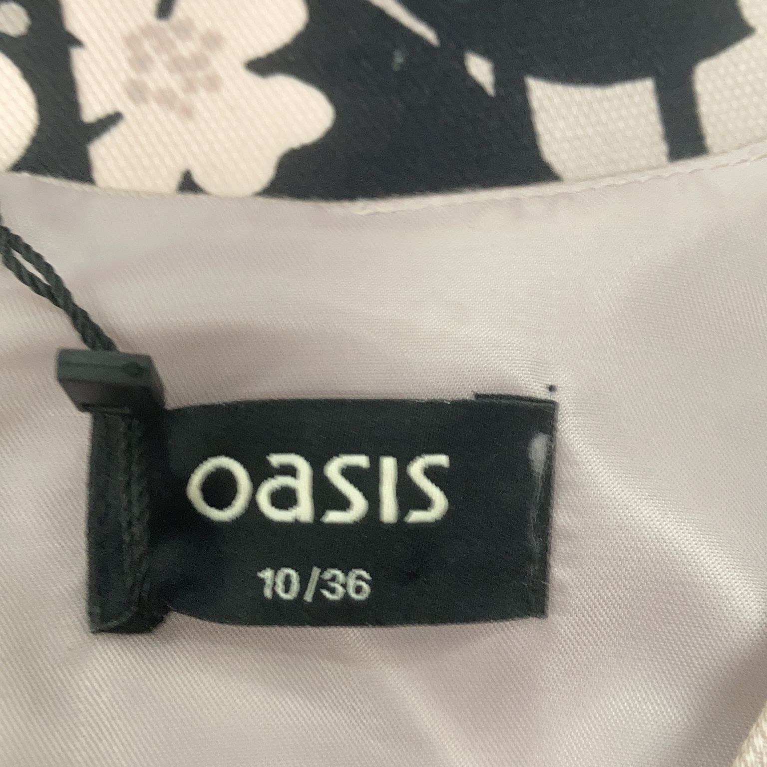 Oasis